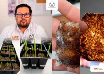 Patenta la UAT bioplásticos que recuperan suelos erosionados