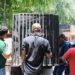 Libera Tamaulipas a jaguar rescatado tras recibir atención médica especializada