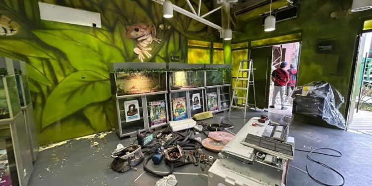 Modernizan el Centro Interpretativo Ecológico de Gómez Farías