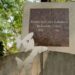 Brinda Gobierno de Tamaulipas homenaje a Amalia González Caballero en la CDMX