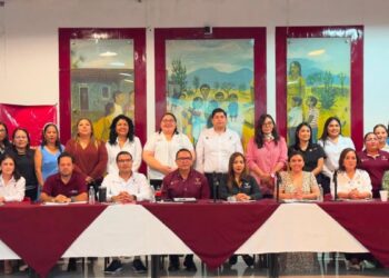 Reafirma SIPINNA Tamaulipas compromiso con la primera infancia durante Quinta Sesión