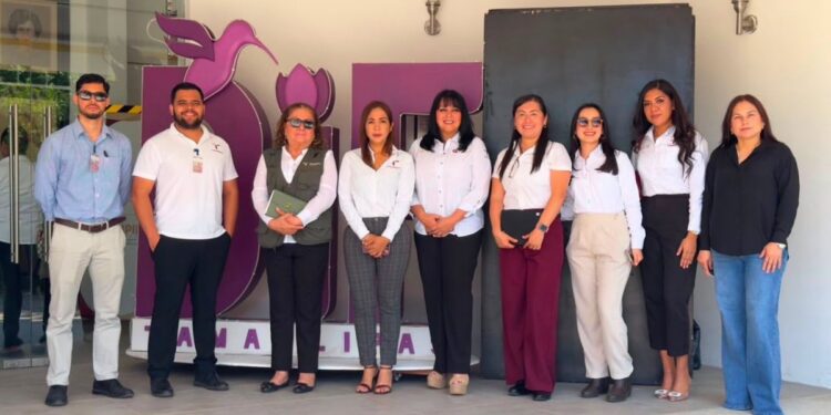 Impulsa SIPINNA Tamaulipas la crianza respetuosa a través de la capacitación “Educando desde el Corazón”