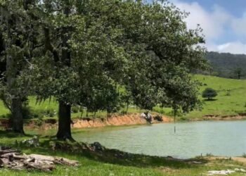 Impulsan el desarrollo de la Cooperativa Ecoturística Puerto Paraíso: Sectur