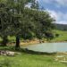 Impulsan el desarrollo de la Cooperativa Ecoturística Puerto Paraíso: Sectur