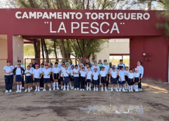 Fortalece Tamaulipas educación ambiental mediante liberación de crías de tortuga lora