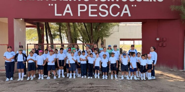 Fortalece Tamaulipas educación ambiental mediante liberación de crías de tortuga lora