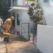 Tamaulipas mantiene baja incidencia de dengue y sin casos de otras enfermedades transmitidas por mosquito