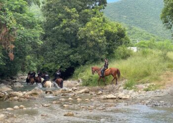 Agrupamiento Montado de la Guardia Estatal refuerza vigilancia en zonas de difícil acceso