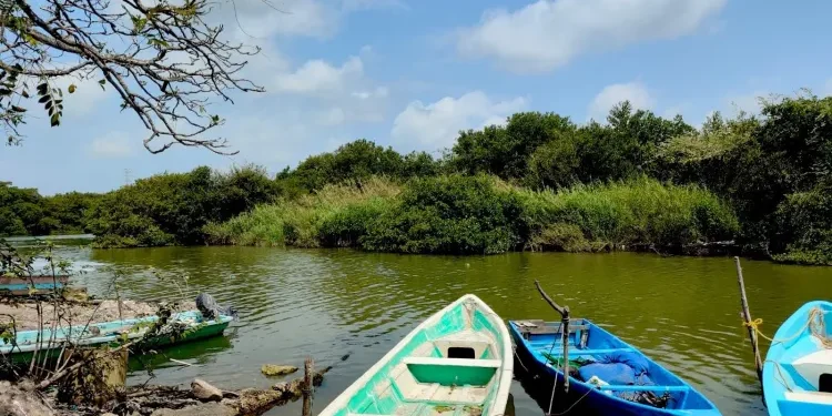Veda para la captura de robalo entra en vigor en costas de Tamaulipas