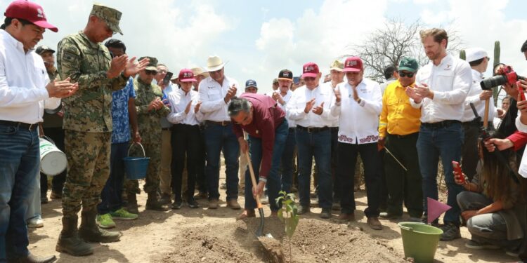 Tamaulipas participa en Jornada Nacional de Reforestación; se plantarán 15 mil árboles: Américo
