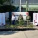 Entrega Gobierno de Tamaulipas 200 árboles al 77/o Batallón de Infantería