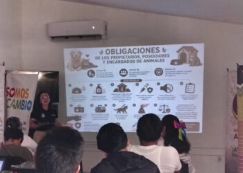 Gana Tamaulipas primer lugar nacional en “Somos el Cambio 2026”