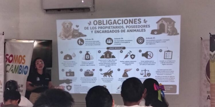 Gana Tamaulipas primer lugar nacional en “Somos el Cambio 2026”