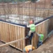 La construcción sostiene a flote la industria de Tamaulipas