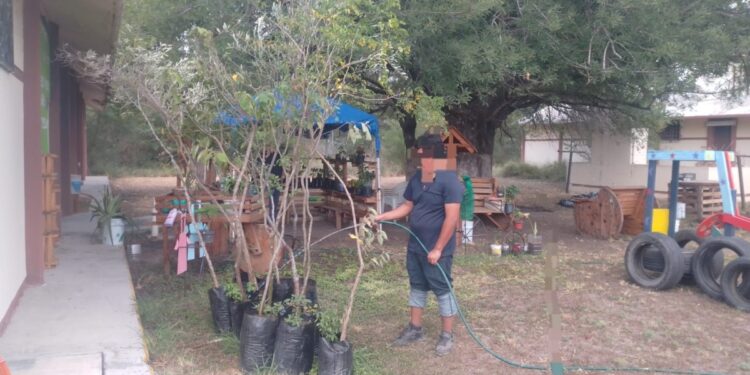 Refrendan adolescentes su compromiso con el medio ambiente como parte de su reinserción social