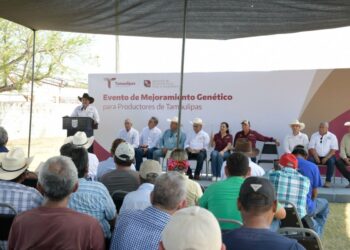 Acerca Tamaulipas ejemplares de alta calidad genética a ganaderos de El Mante