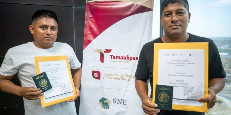 Fortalece Tamaulipas vinculación laboral con más de 700 trabajadores colocados en el extranjero
