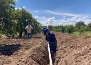 Aplican herramientas técnicas de riego a productores tamaulipecos de la zona citrícola