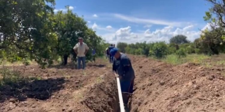 Aplican herramientas técnicas de riego a productores tamaulipecos de la zona citrícola