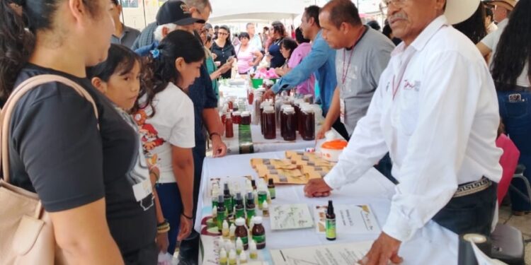 Invitan al Tianguis Rural Regional en Ciudad Victoria