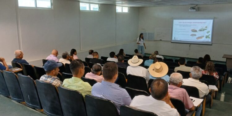 Refuerza Tamaulipas capacitación para proteger cultivos de cítricos ante el HLB
