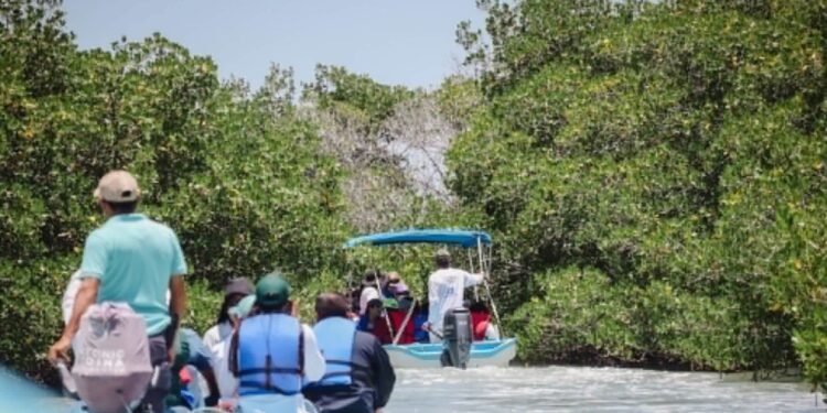 Más de 5 millones de turistas vacacionaron en Tamaulipas