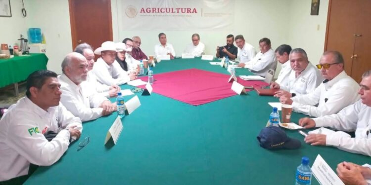 Impulsan Plan de Reconversión para fortalecer el campo de Tamaulipas