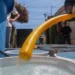 Mejora acceso a agua potable y asistencia escolar en Tamaulipas: INEGI