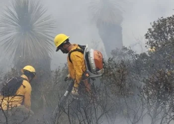 Azotan nuevos incendios las zonas serranas de Tamaulipas
