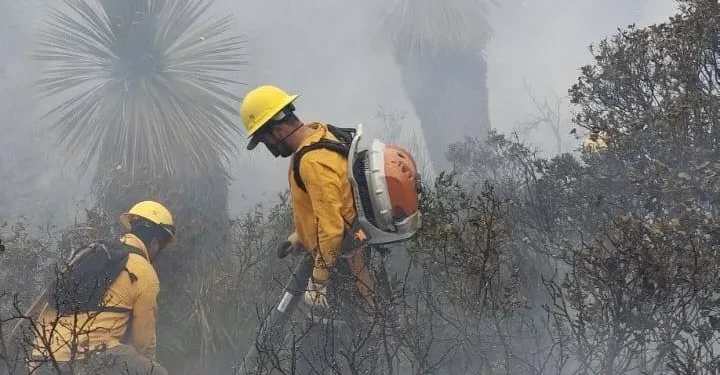Azotan nuevos incendios las zonas serranas de Tamaulipas