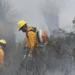 Azotan nuevos incendios las zonas serranas de Tamaulipas