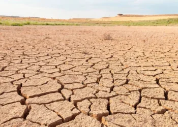 Tamaulipas enfrenta retos para medir avances climáticos