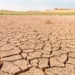 Tamaulipas enfrenta retos para medir avances climáticos