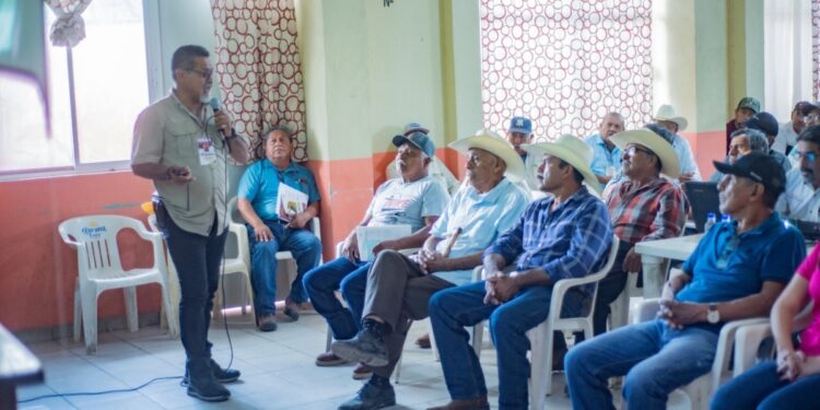 Brindan a productores herramientas para mejorar la fertilidad de los suelos citrícolas