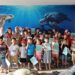 Reciben educación ambiental y conservación de especies niñas, niños y familias en el Campamento Tortuguero de La Pesca