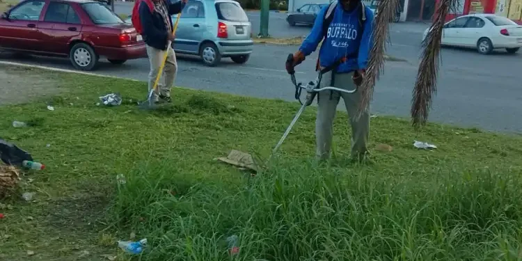 Intensifica Gobierno de Victoria mantenimiento en vialidades y áreas verdes tras las lluvias.
