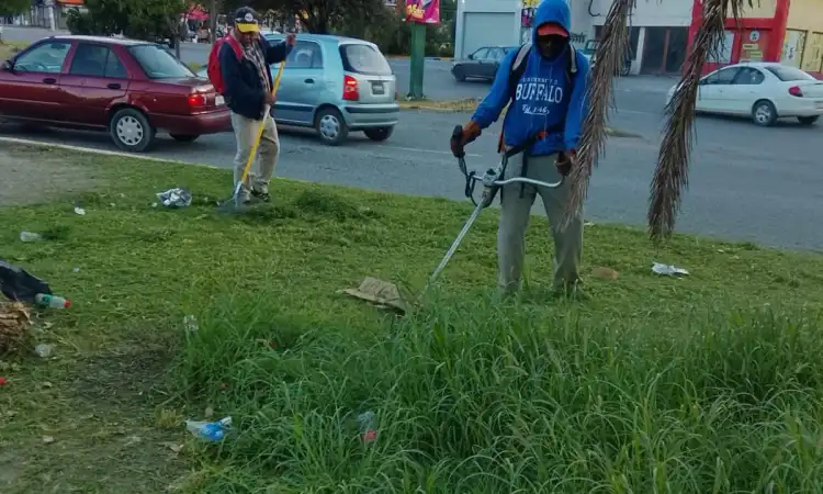 Intensifica Gobierno de Victoria mantenimiento en vialidades y áreas verdes tras las lluvias.
